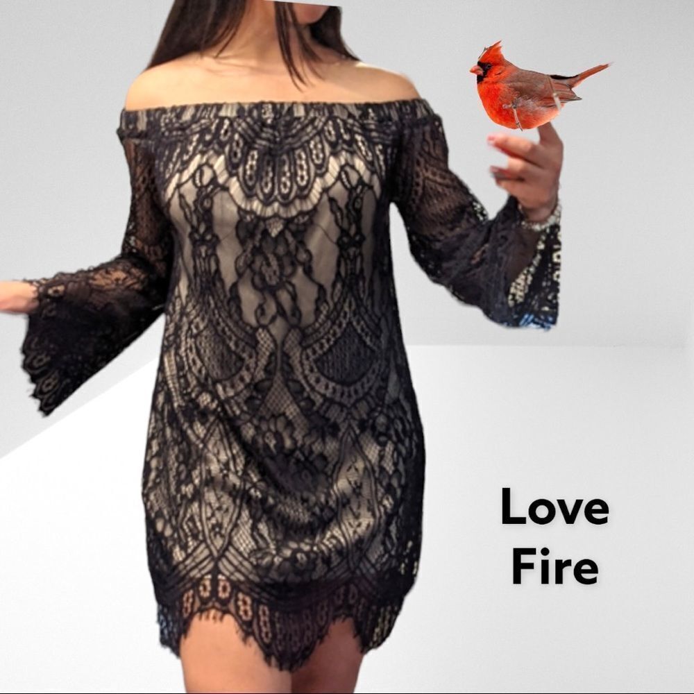 Love fire beautiful black Chantilly lace dinner dress! On or off shoulde…